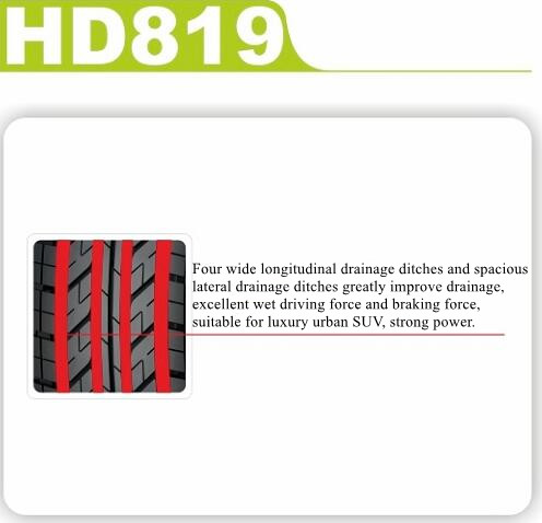 HD819 feature.jpg